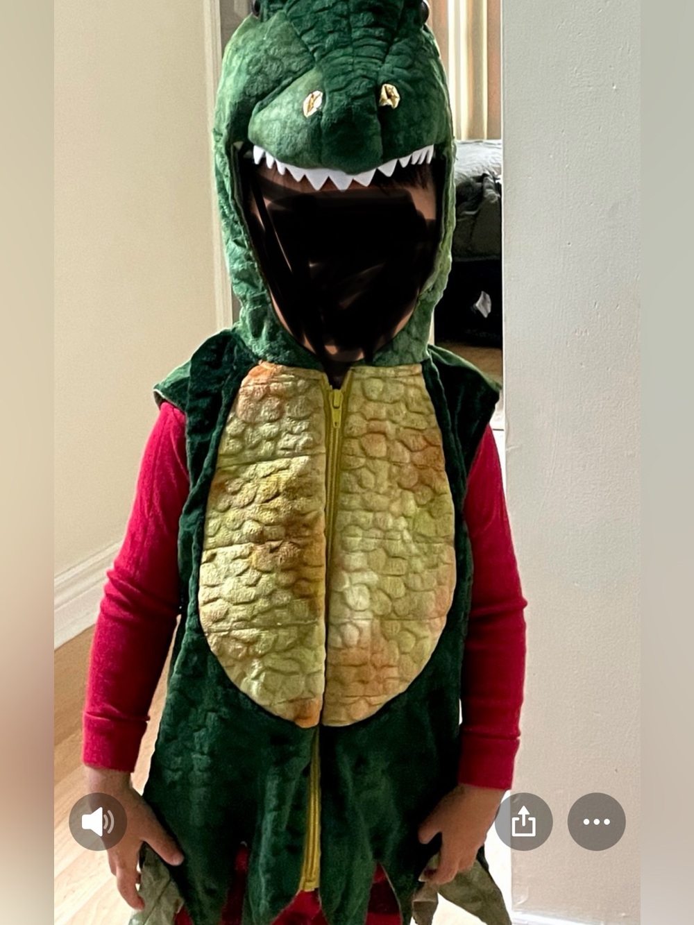 Dinosaur Adventure Costume